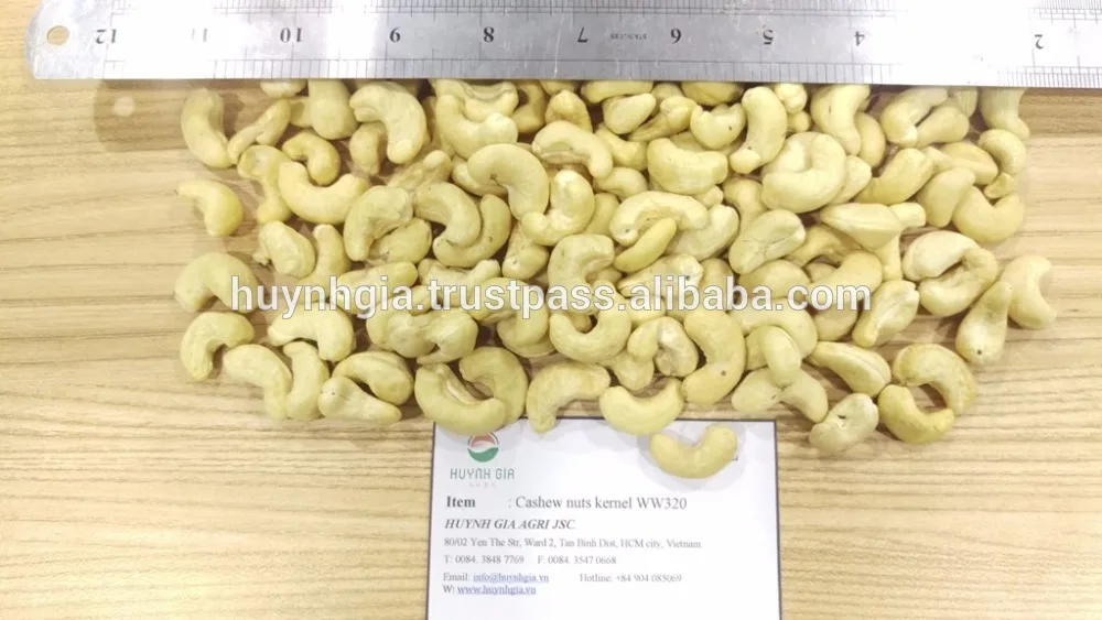 PREMIUM Cashew Nuts Kernel W180-W240-W320  - from Vietnam - HUYNH GIA AGRI JSC