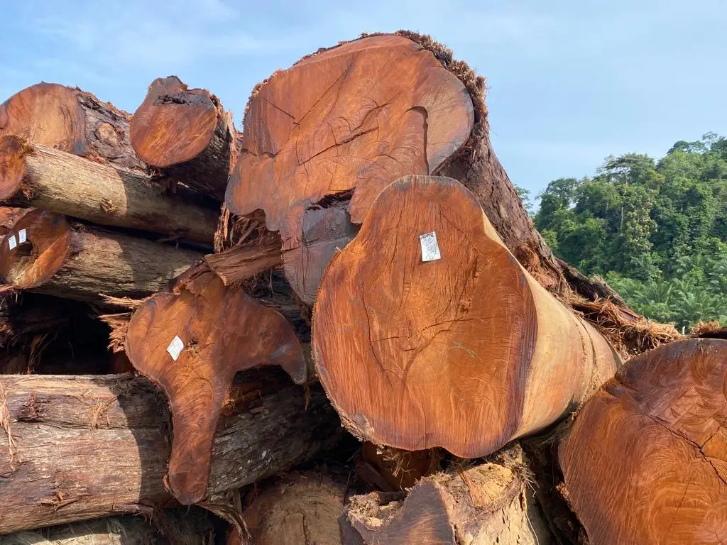 Good Quality Merbau Solid Hardwood Wood Supplier From Malaysia