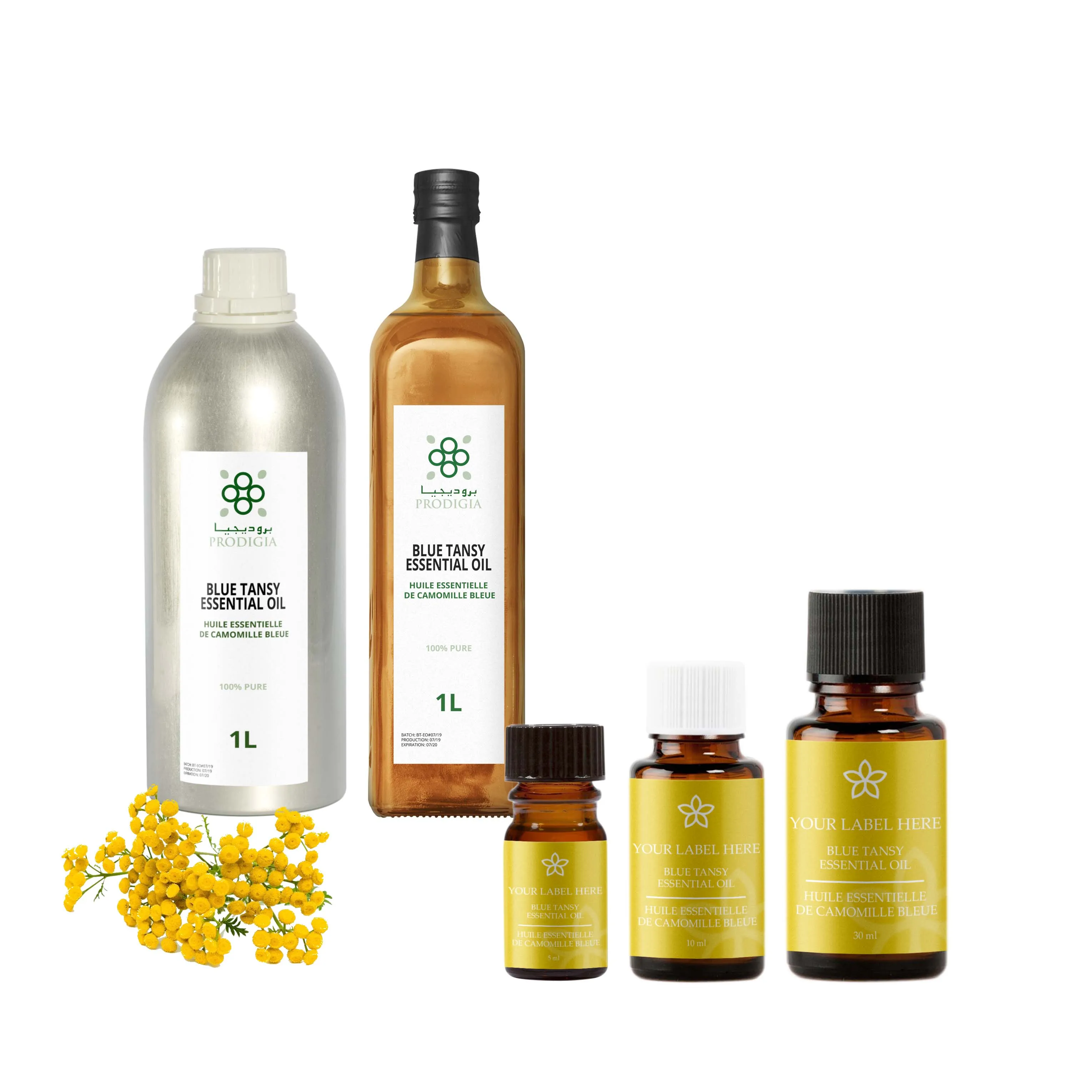 
100% Natural & Pure Blue Tansy Essential Oil (blue chamomile) 1st Distillation - Premium Quality 