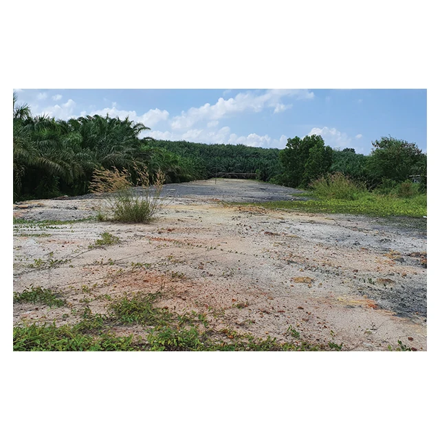 Land for Sale  Wiang Sa District  Surat Thani Thailand