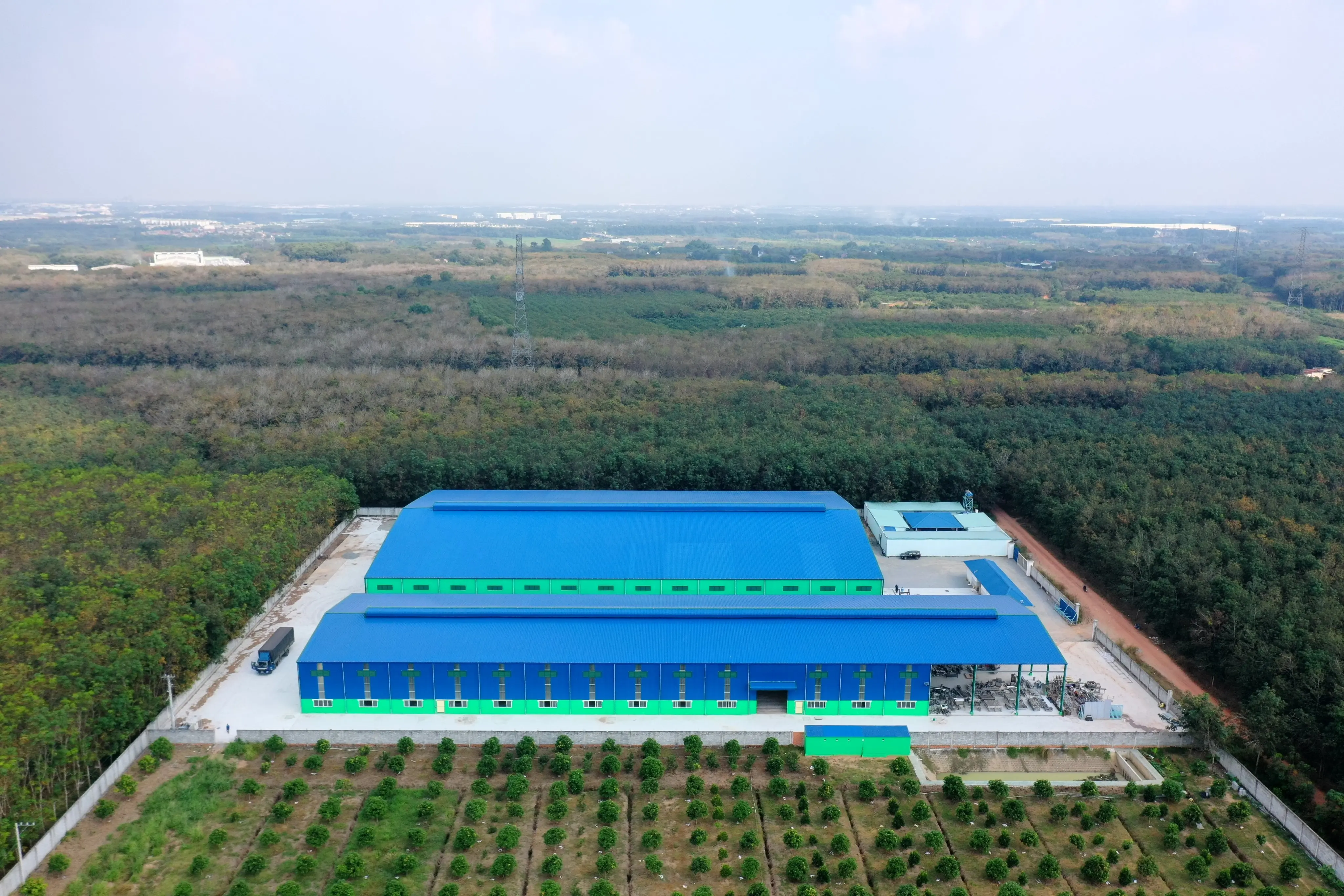 11 жидких унций VINUT холодного прессования Зеленый Сок (Лайм сельдерей огурец)