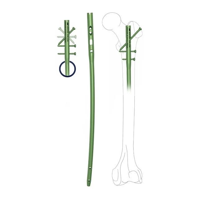 Лучший ведущий эксперт, ортопедические средства по уходу за когтями по лучшей цене от производителя Gujarat