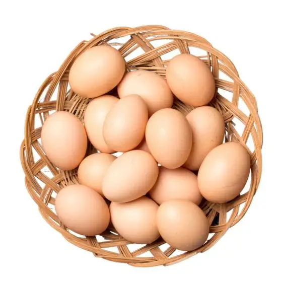 Fresh Chicken Table Eggs-Fertilized Hatching Eggs, White and Brown Broiler Chicken Eggs