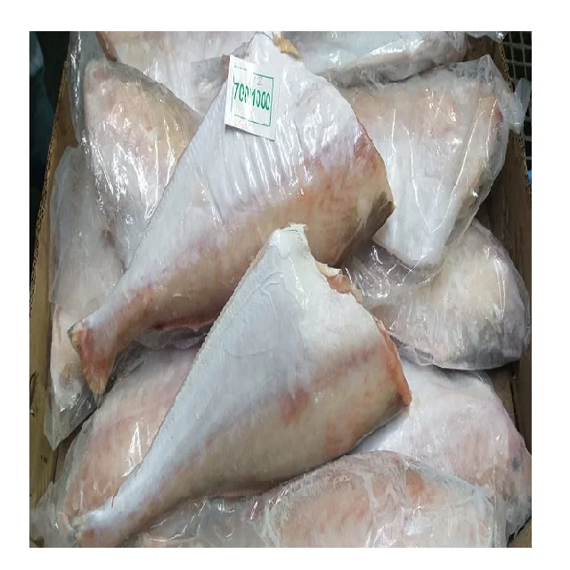 Frozen Leather jacket fish headless gutted tailless from India, Leather jacket fish HGT