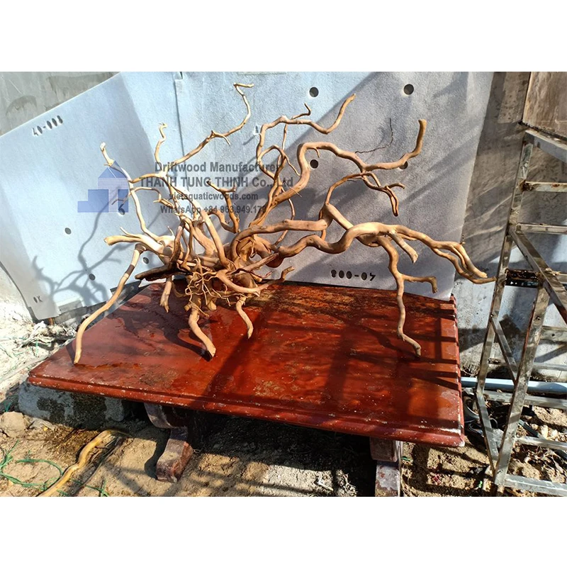 Горячие товары 2024 натуральный коряги для Аквариума Декор Фон WhatsApp + 84 937 545 579