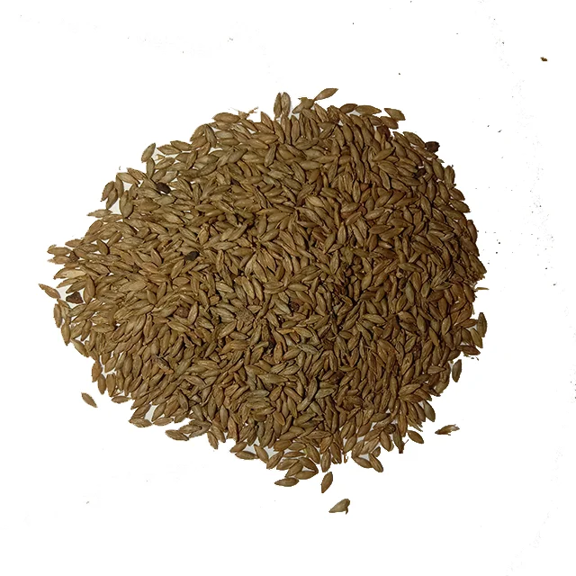 Tropical Grass Seed