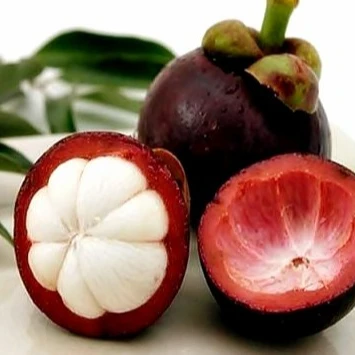 
OGRANIC MANGOSTEEN FRUIT/FRESH DELICIOUS IN VIET NAM 2020/Whatsapp +84 845 639 639 