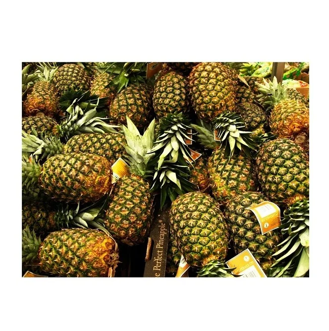 Свежие ананасы высокого качества по самым низким оптовым ценам в наличии