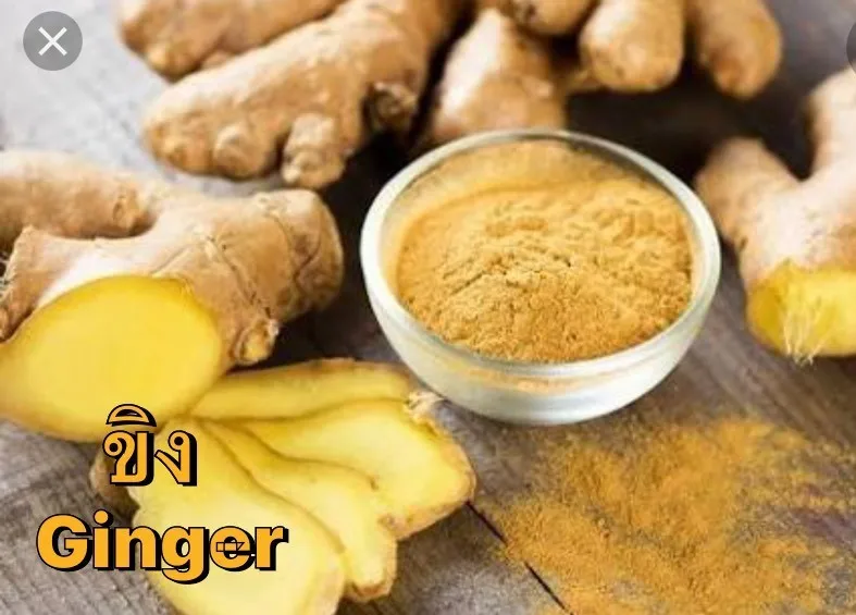 Natural Herbal Yellow Jivaka Collagen Capsules Tablets Good for Health from Thailand with Factory Price