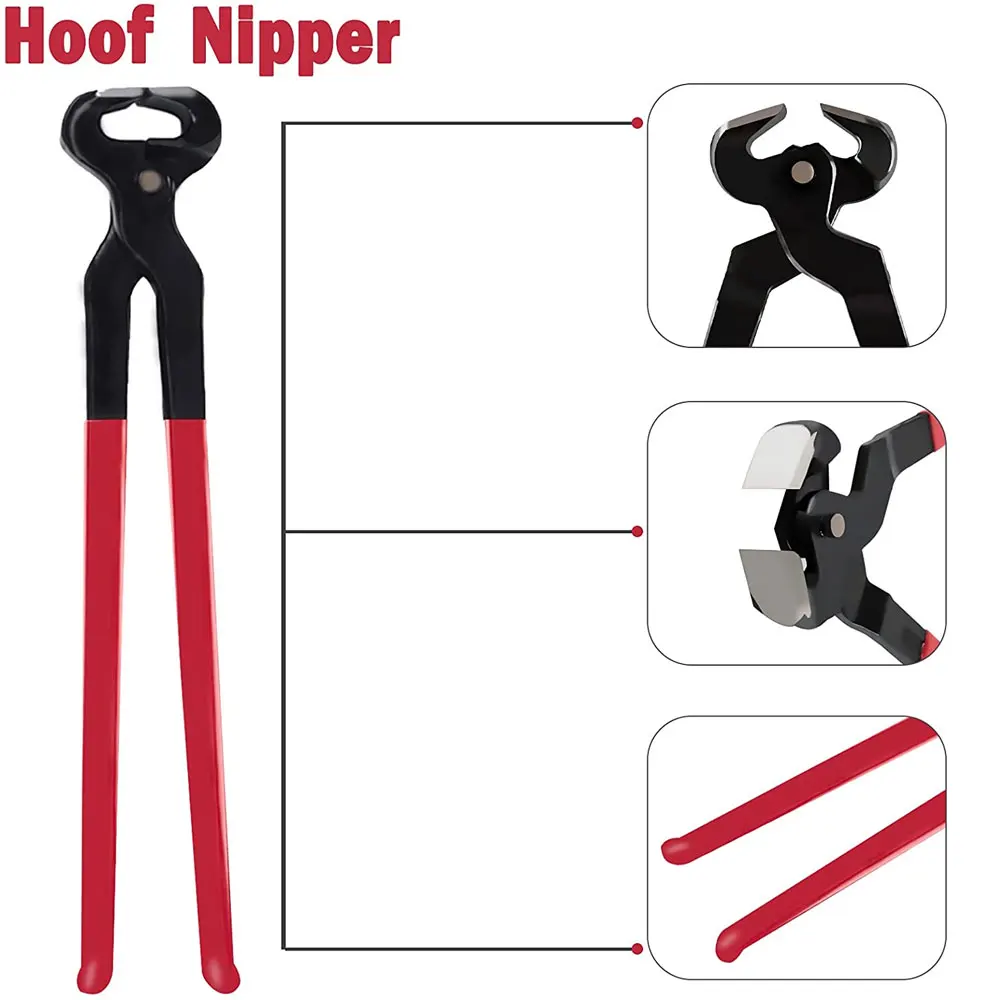 High Quality Stainless steel hoof Trimming Kits with wooden handle With Customized Logo And Made In Pakistan