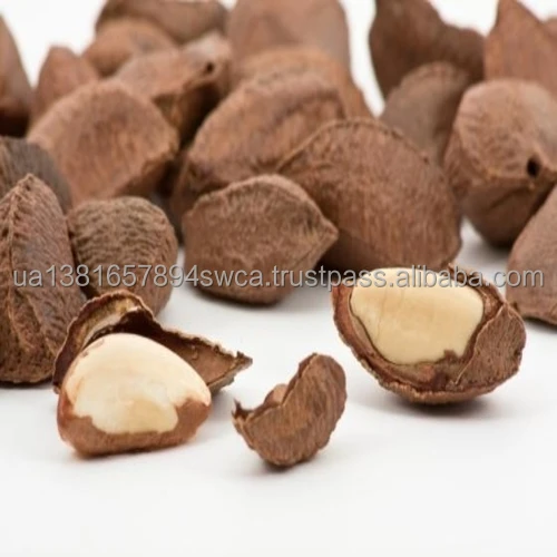 brazil nuts 8.jpg