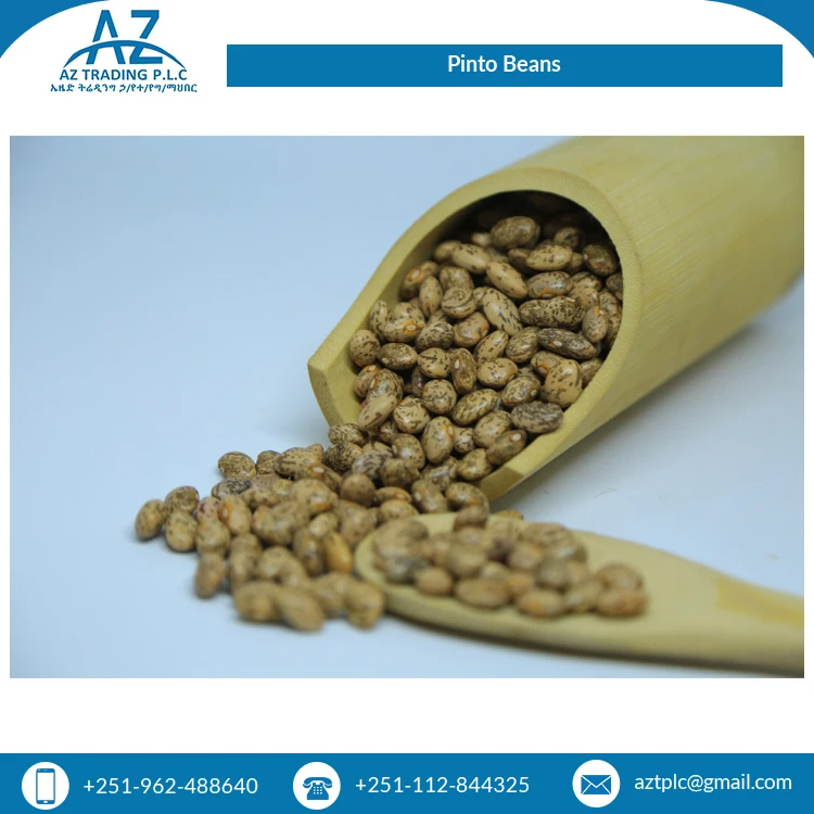 Best Selling Fresh 2 Year Shelf Life Wholesale Natural Hand Picked Pinto Beans at Least Price