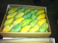 Свежий манго качества A1 ---- 2021 для экспорта