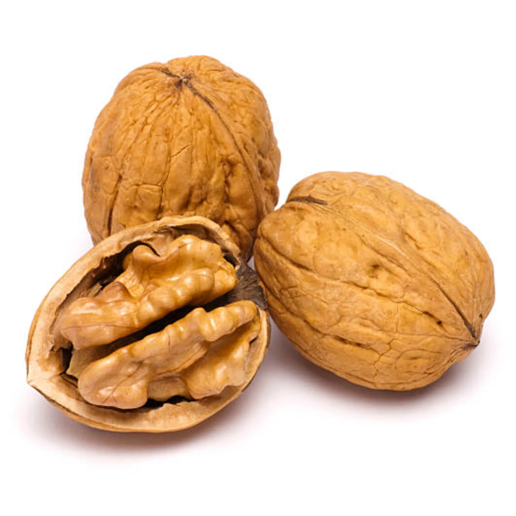 
Ukraine Fresh Whole Nuts Raw Halves Kernels Fruit Walnut 