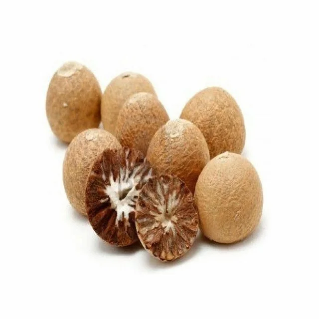 High Quality Whole Dried Betel Nut / Areca Nuts for Wholesale