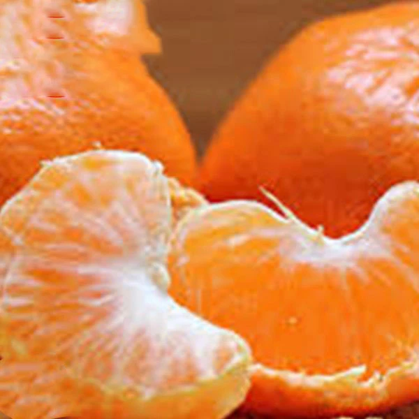 2022 новый урожай детского оранжевого китайского растения в