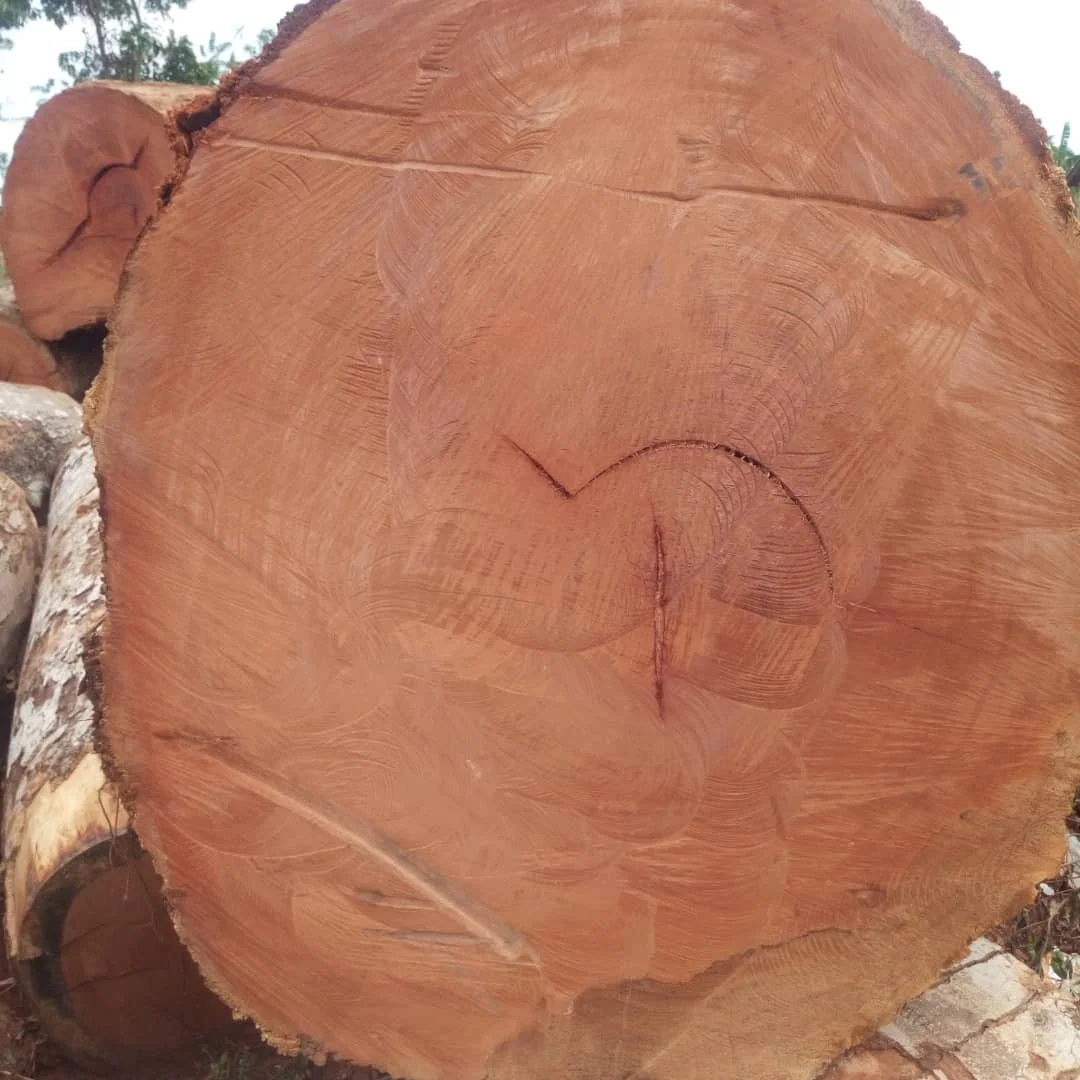 Papao or Afzelia Logs High Quality Afzelia Wood Logs Teak Timber