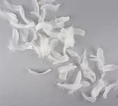 Natural High Filling Power Down White Goose Feathers Down For Sale