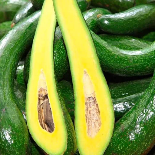 Самая дешевая свежая камера авокадо 034 Fuerte Hass Вьетнам 84 896674503