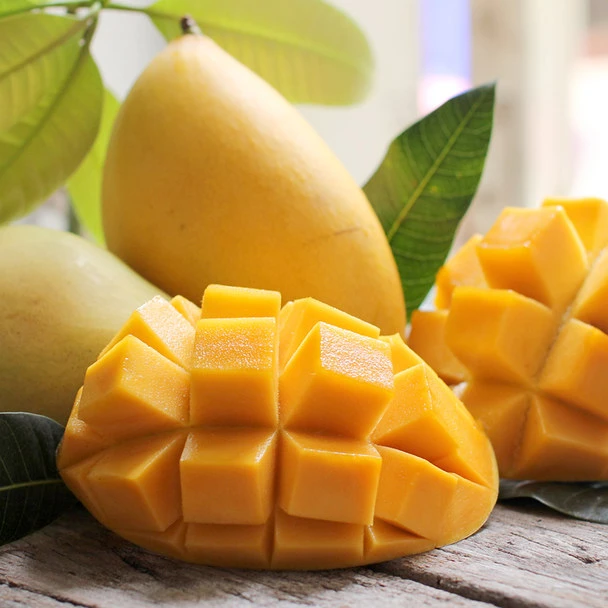 Свежее манго (KEO манго) на продажу/Хелен N +