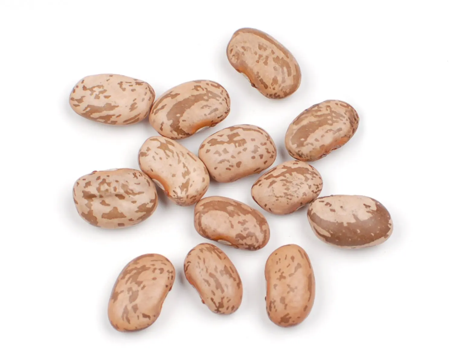 Delicious Pinto Beans for sale