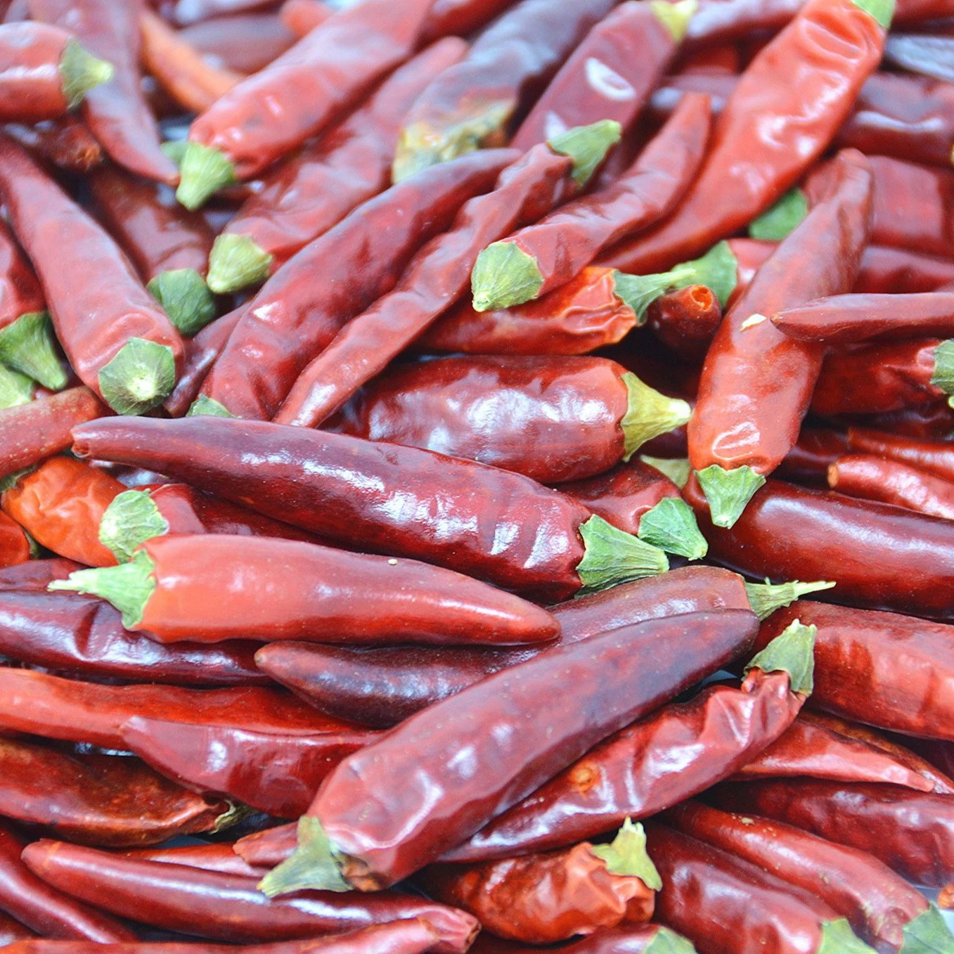 Лучшая цена, 100% сухой органический перец чили из Вьетнама, сельскохозяйственный сухой чили, красный перец, оптовая продажа