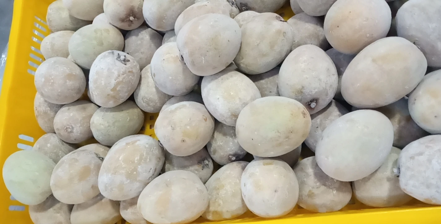 Frozen Style Whole Shape 24 months Shell Life Sweet Taste Year Round Season Frozen Sapodilla Export From Vietnam