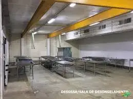 Desossa descongelamento.jpg