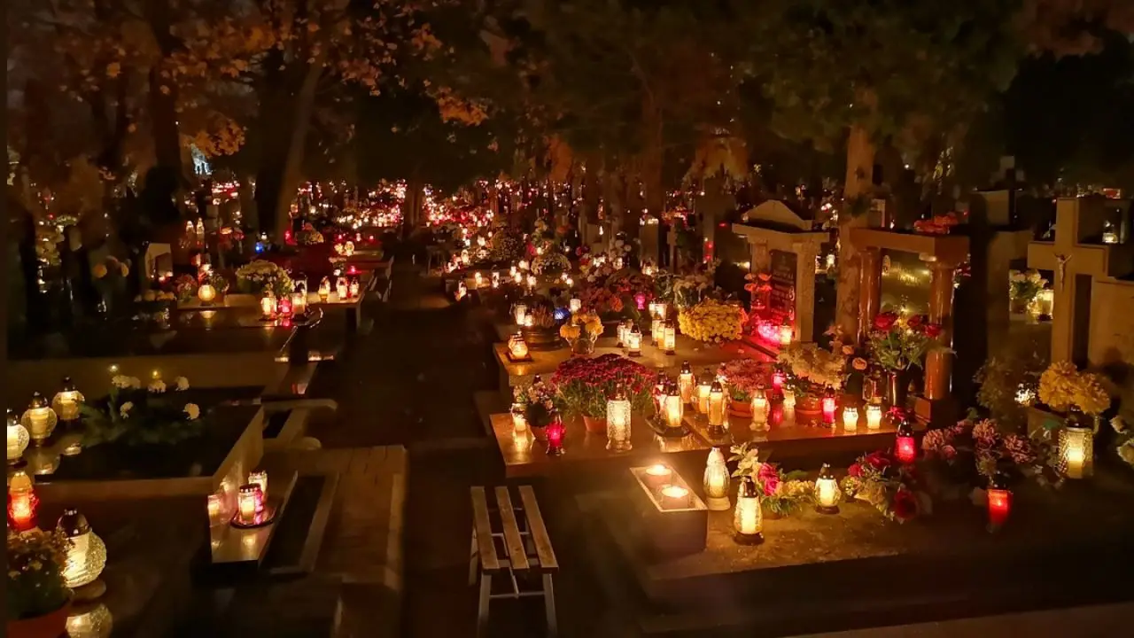 Liquid Good Quality Slack Wax for Multiply Industries like Candle Producers Matches Wood Furniture Industry Impregnates Emulsion