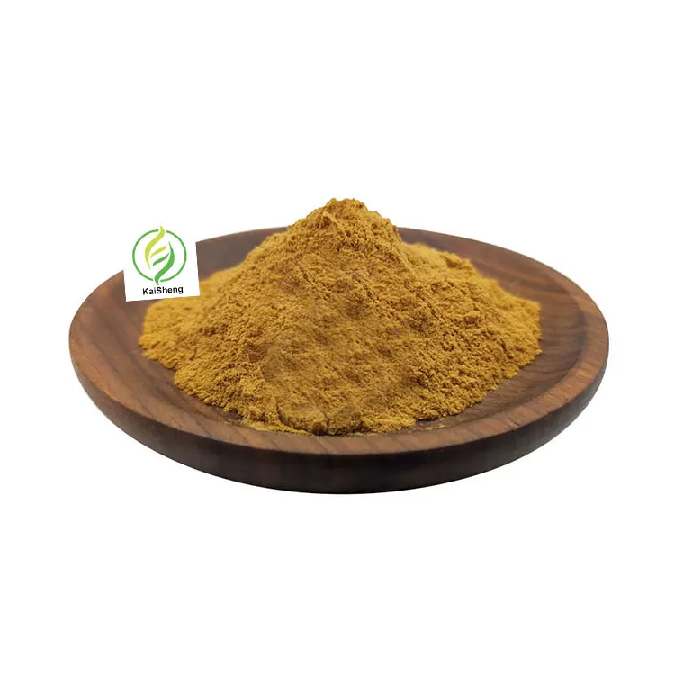 Wholesale 90% Saponins Supplements Tribulus Terrestris Extract Powder