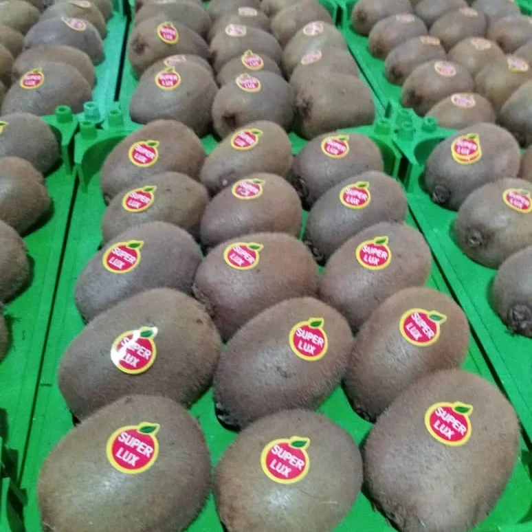 
Iranian Fresh Green Kiwi 