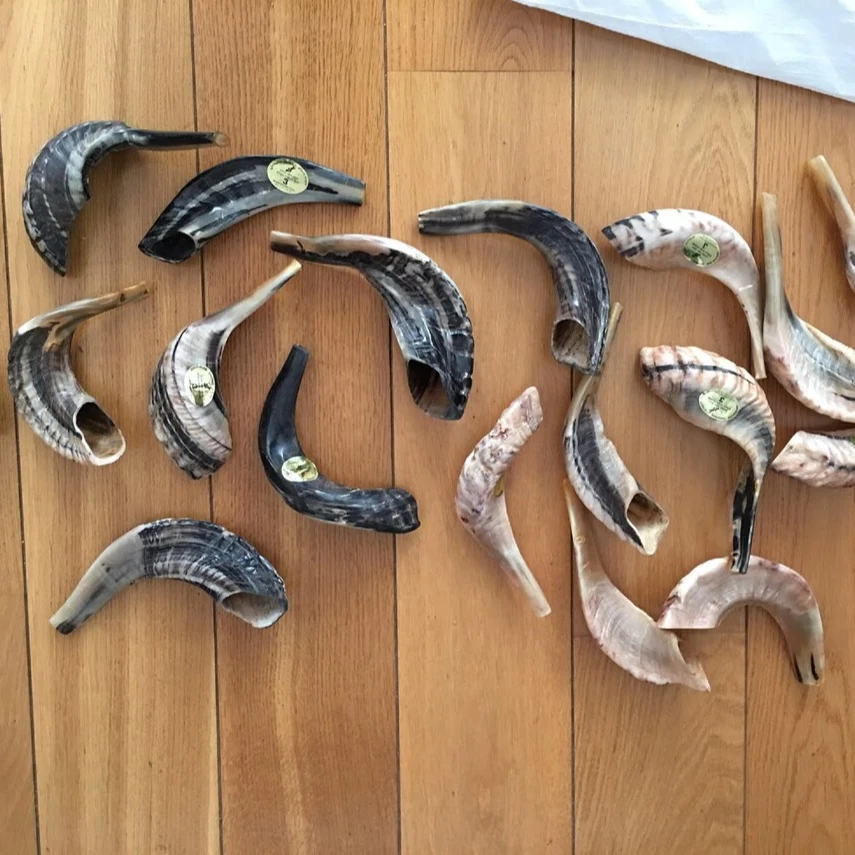 Оптовая продажа, большой гудок ОЗУ, Кошерный естественный полированный музыкальный инструмент Shofar, используемый для еврейских религиозных целей