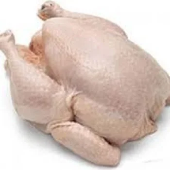 HALAL Frozen Whole Chicken From Brazil ready for export