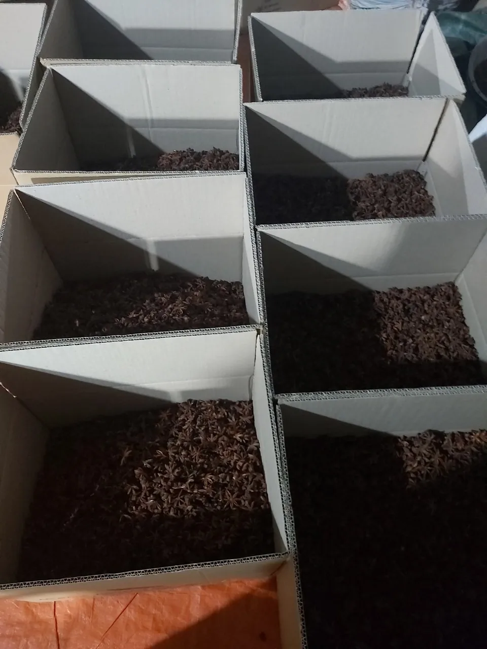 Конкурентоспособная цена/Лучшая цена Звездный анис 2021-натуральный лучшие травы и специи от производителя