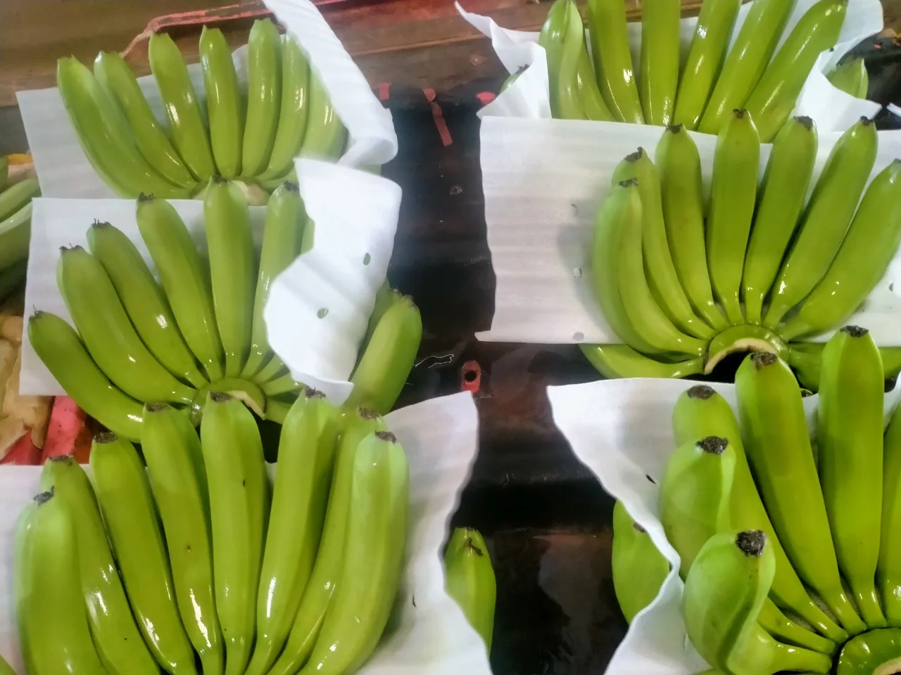 Оптовая продажа Cavendish Banana - 100% органический свежий банан из Вьетнама экспорт фруктов оптовая новейший урожай натуральный сладкий