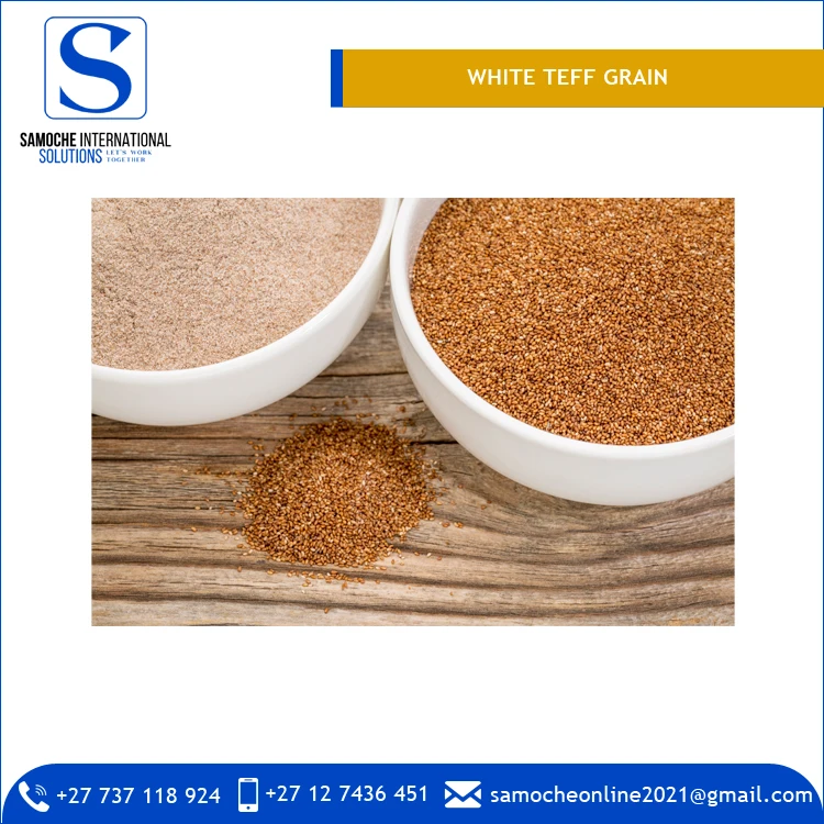 Professional Dealer of Superlative Quality 99.95% Pure White Teff Grain with 1 Year Shelf Life