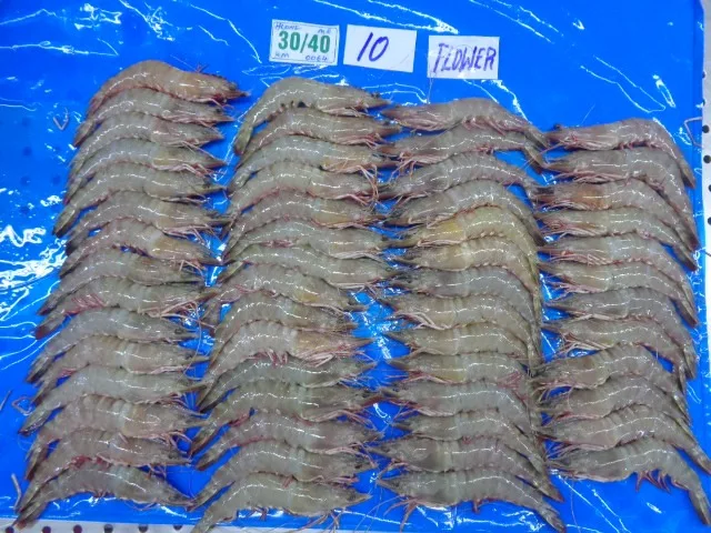 FRESH FROZEN HEAD ON SHELL ON FLOWER SHRIMP HOSO SHRIMP SEAFOOD PRODUCT AT HIGHEST MINIMUM ORDER QUANTITY