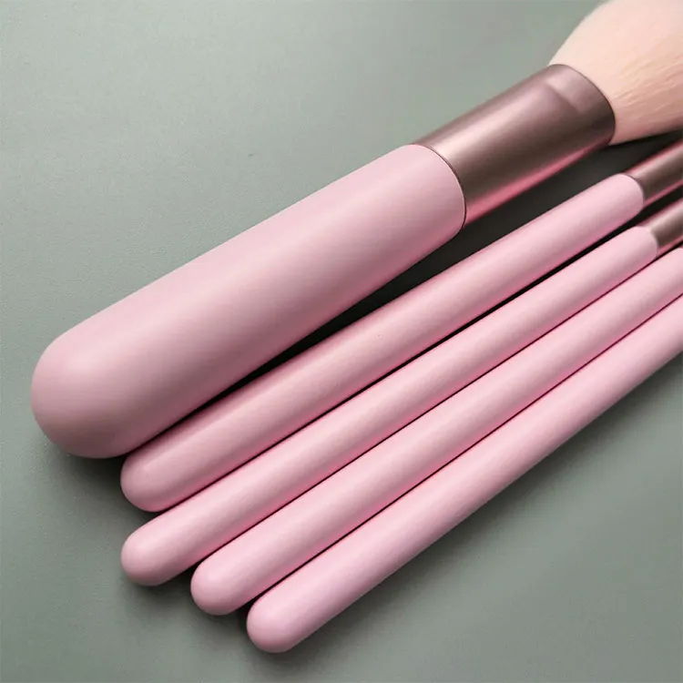 Travel makeup brush set 5 pcs  pink powder eyeshadow brushes