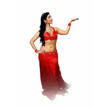 Professional Belly Dance  elegant and admirer letin and ballroom egyptian Costumes  Dresses  Dance costumes