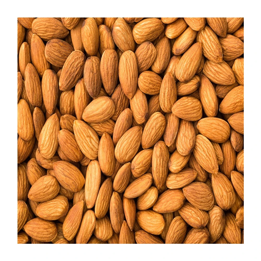 Wholesale price Raw Almonds Available, delicious and healthy Raw Almonds Nuts from xinjiang