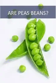 Fresh Peas