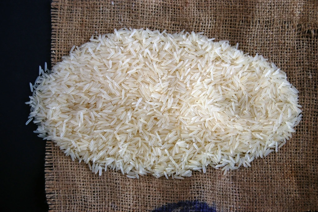 Premium Quality Thien Phu White Broken Raw Rice 5% Broken excellent rice 100 % Natural To Export