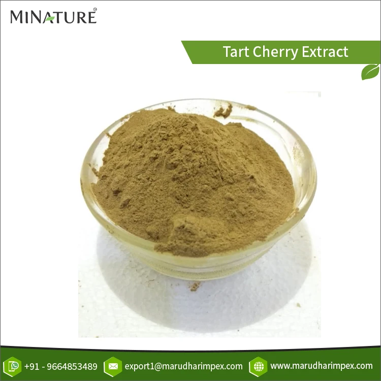 Private Label Manufacturer Selling 100% Pure Tart Cherry Extract Powder at Lowest Price with 24 months Shelf Life