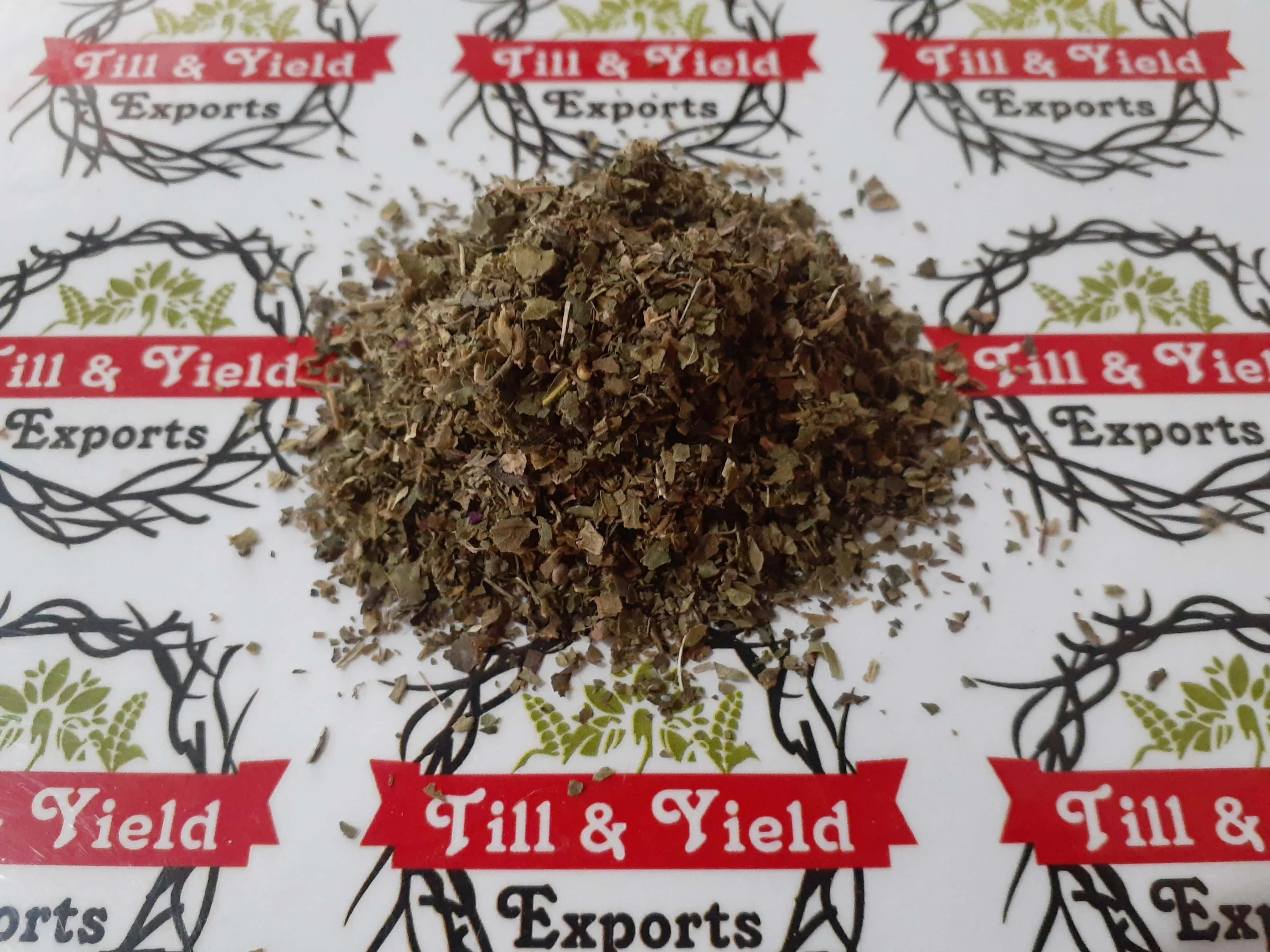 Premium Indian Origin Herbs Gymnema sylvestre - Gudmar - Gudmar Tbc Tea cut size 0.5-4mm high Quality Tea