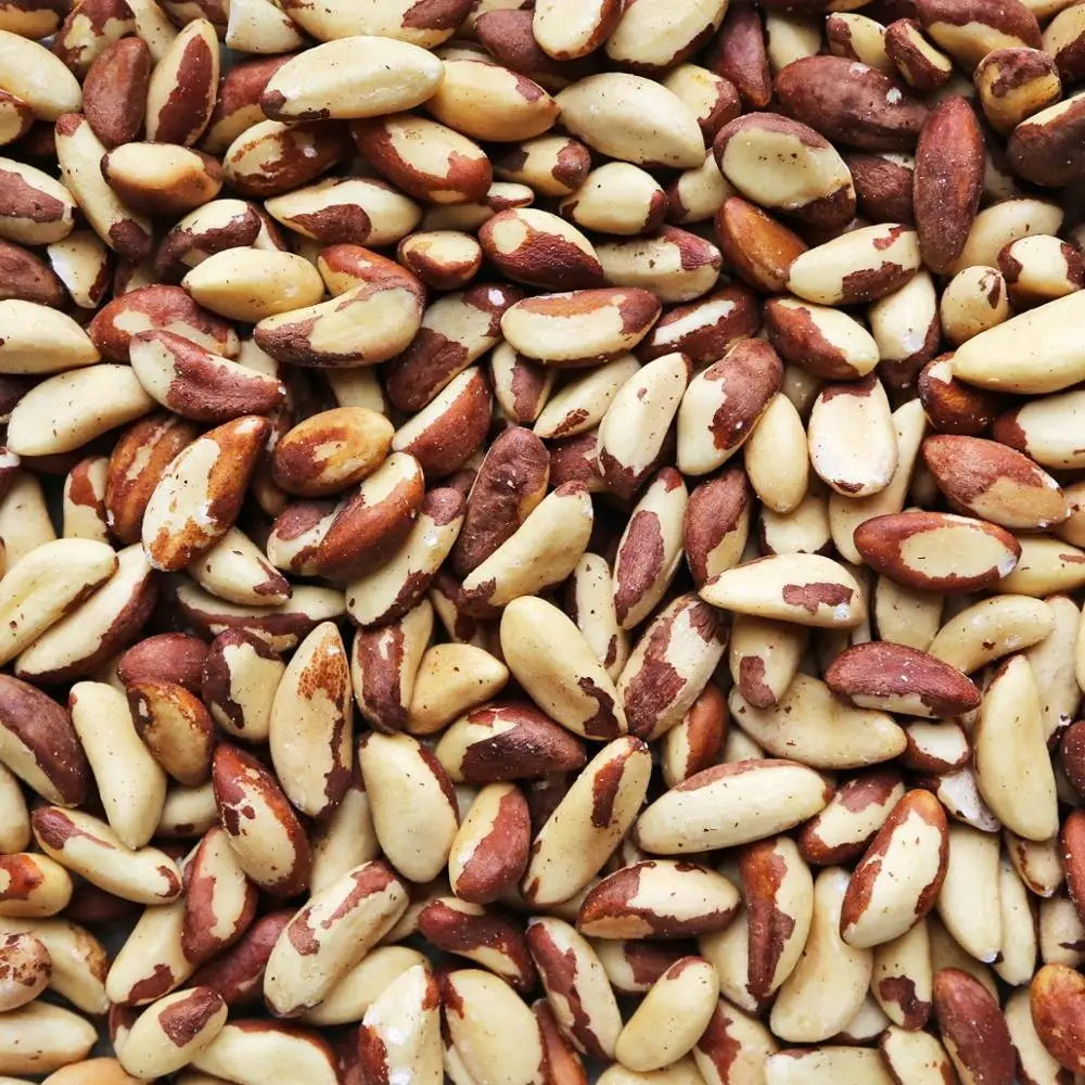 Good Quality Wholesale Supply Raw Brazil Nuts from France