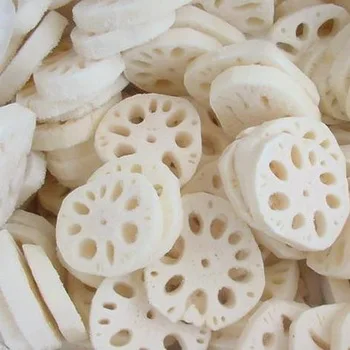 FRESH LOTUS ROOT FROM VIETNAM