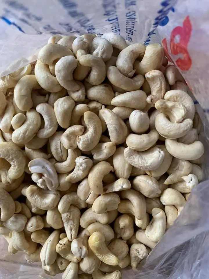 Cheap Price Top Grade Cashew Nuts SW320 SW240 from Vietnam