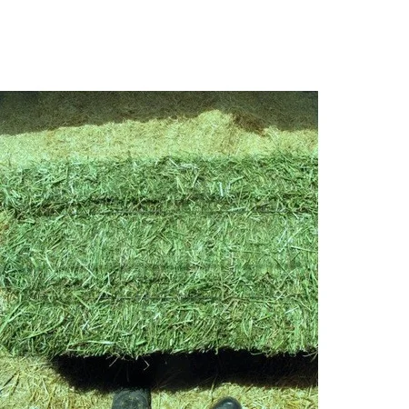 
Cheap Alfafa Hay for Animal Feeding Stuff Alfalfa... 
