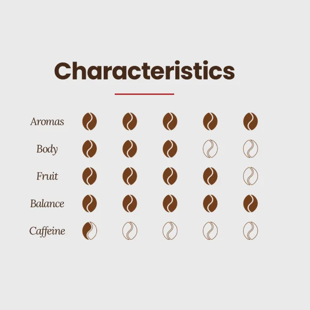 PREMIUM QUALITY 100% Arabica gourmet blend made in Italy ground coffee moka Maxima 250g for retail