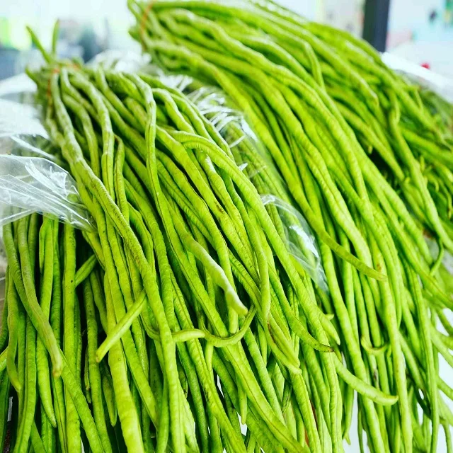 Green Beans - Taste Great , long green beans exports more